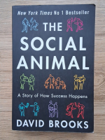 David Brooks - The social animal. A story of how success happens