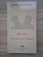 Doina Popa Scurtu - De ce? Cheia miraculoasa a pedagogiei