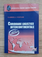 Gabriel I. Nastase - Coridoare logistice intercontinentale