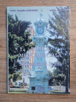 Ionel St. Alexandru - Braila monumentala