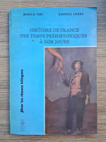 Monica Timu, Gabriel Leahu - Histoire de France des temps prehistoriques a nos jours