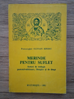 Olivian Bindiu - Merinde pentru suflet. Scrieri de teologie pastoral-misionare, liturgice si de drept
