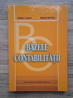 Oprea Calin - Bazele contabilitatii
