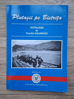Teoctist Galinescu - Plutasii pe Bistrita