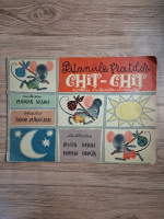 Tudor Mainescu, Mircea Neagu - Pataniile fratilor chit-chit