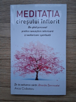 Anca Ciobotaru - Meditatia ciresului inflorit