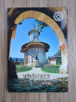 Aurel Buzincu - Manastirea Moldovita