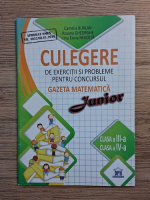 Camelia Burlan, Roxana Gheorghe - Culegere de exercitii si probleme pentru concursul Gazeta Matematica. Clasa a III-a si clasa a IV-a