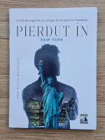 Dan Silviu Boerescu - Pierdut in New York