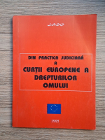 Din practica judiciara a Curtii Europene a Drepturilor Omului