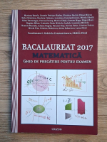 Gabriel Constantinescu - Matematica. Bacalaureat 2017. Ghid de pregatire pentru examen