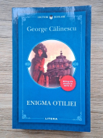 George Calinescu - Enigma Otiliei