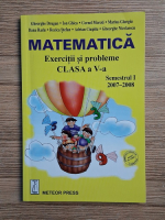 Gheorghe Drugan - Matematica. Exercitii si probleme, clasa a V-a, semestrul I