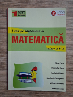 Gina Caba - 1 test pe saptamana la matematica. Clasa a V-a