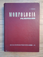 I. Ciobanu - Morfologia planetelor