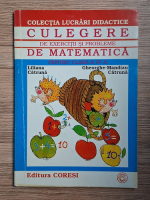 Liliana Catruna - Culegere de exercitii si probleme de matematica pentru clasa a IV-a
