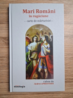 Mari Romani in rugaciune. Carte de marturisiri