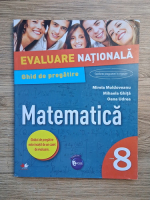 Mirela Moldoveanu - Matematica. Evaluare nationala. Ghid de pregatire, clasa a VIII-a