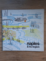 Naples and its region