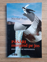 Nicolae Popa - Pasari mergind pe jos. Povestiri de nepovestit