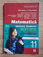 Petre Simion - Matematica. Breviar teoretic, clasa a XI-a, M2