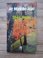 Shen Rong - At middle age