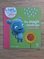 The magic raindrops. A story for mini scientists