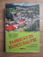 Vasile Lechintan - Fabricat in Runcu Salvei. Aspecte monografice