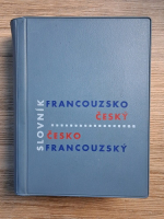 Vladimir Buben - Slovnik francouzsko-cesky e cesky-francouzsky