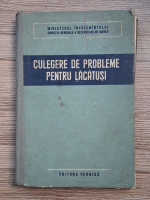 Culegere de probleme pentru lacatusi