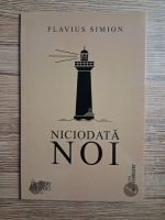 Flavius Simion - Niciodata noi