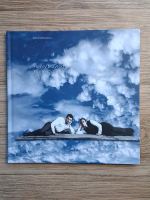 Ileana Stanculescu - Henry Mavrodin si Florin Ciubotaru. Lucrari bi si tri-dimensionale