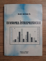 Ilie Budica - Economia intreprinderii