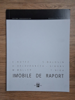 Mihaela Pelteacu - Imobile de raport