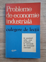 Probleme de economie industriala. Culegere de lectii in ajutorul celor care studiaza in cercurile de economie concreta