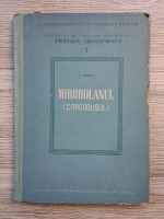 Vasile Sonea - Mirobolanul (corcodusul)
