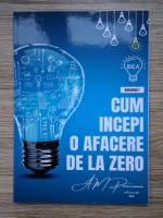 Alexandrina Maria Pauceanu - Cum incepi o afacere de la zero (volumul 1)