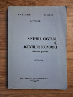 Gh. Lambru - Sistemul contabil al agentilor economici. Indrumar practic