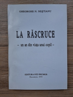 Gheorghe N. Nestianu - La rascruce. Un an din viata unui copil