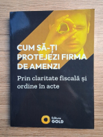 Horia Matei - Cum sa-ti protejezi firma de amenzi