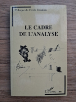 Le cadre de l'analyse