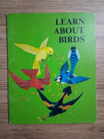 Learn about birds