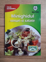 Minighidul sosuri si salate