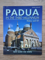 Padua in the third millennium. History and art