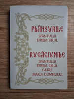 Plansurile Sfantului Efrem Sirul. Rugaciunile Sfantului Efrem Sirul catre Maica Domnului