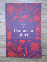 Rumi - Cantecele iubirii