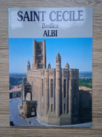 Saint Cecile Basilica. Albi