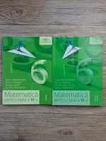 Stefan Smarandoiu - Matematica pentru clasa a VI-a (2 volume, 2015)