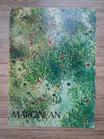 Viorel Marginean. Desen, pictura, ianuarie-februarie 1970 (album)