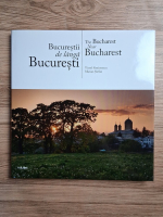 Viorel Simionescu - Bucurestii de langa Bucuresti (editie bilingva)